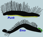 Punk and Emo reconstructions